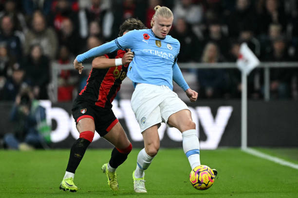 这不仅展示 这不仅展示