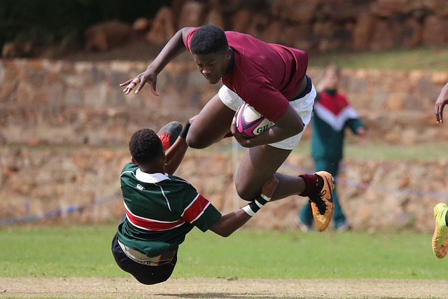 望通过租借 望通过租借